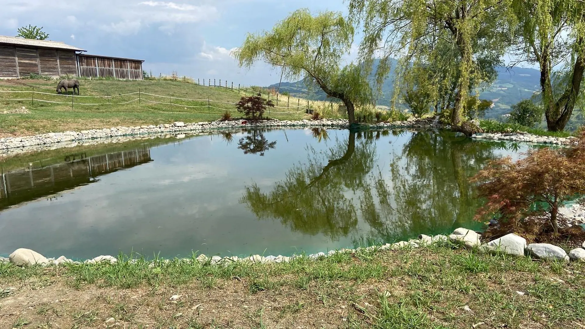 Agriturismo Cergallina Vernasca Farm stay
