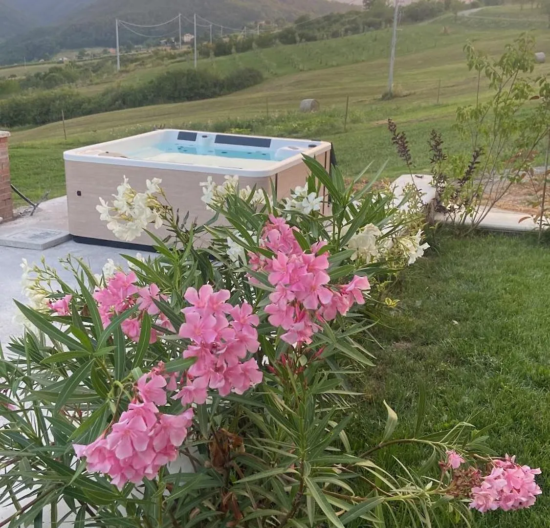 Agriturismo Cergallina Vernasca Farm stay